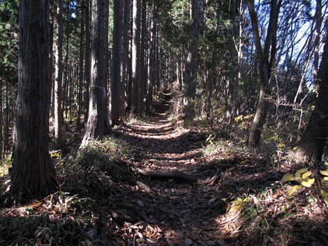 20151127hike (155)